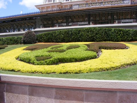 2008 Jeep Cherokee - Topiary garden shaped like Mickey Mouse's head at Walt Disney World's Magic Kingdom.