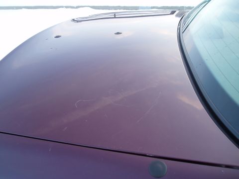 1999 Ford Crown Victoria - Scratched purple car hood, with a hint of the windshield and a distant horizon.
