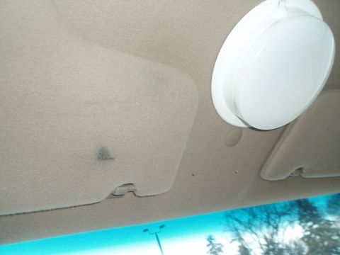 1999 Ford Crown Victoria - Interior view of a car's headliner, showing a sun visor and dome light with some water stains.