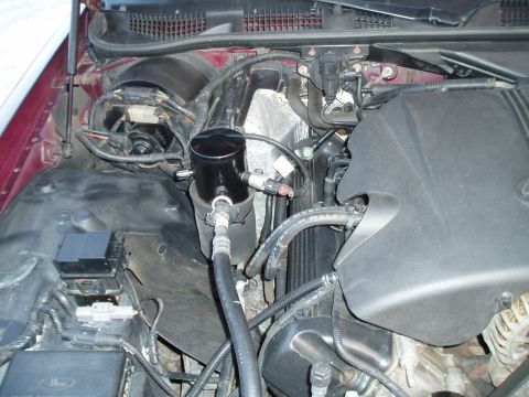 1999 Ford Crown Victoria - Aftermarket oil catch can installed in the engine bay, with various hoses and electrical components.
