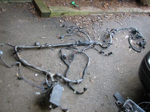 1999 Ford Crown Victoria - Engine wiring harness with fuse box, likely removed from a vehicle for repair or replacement.