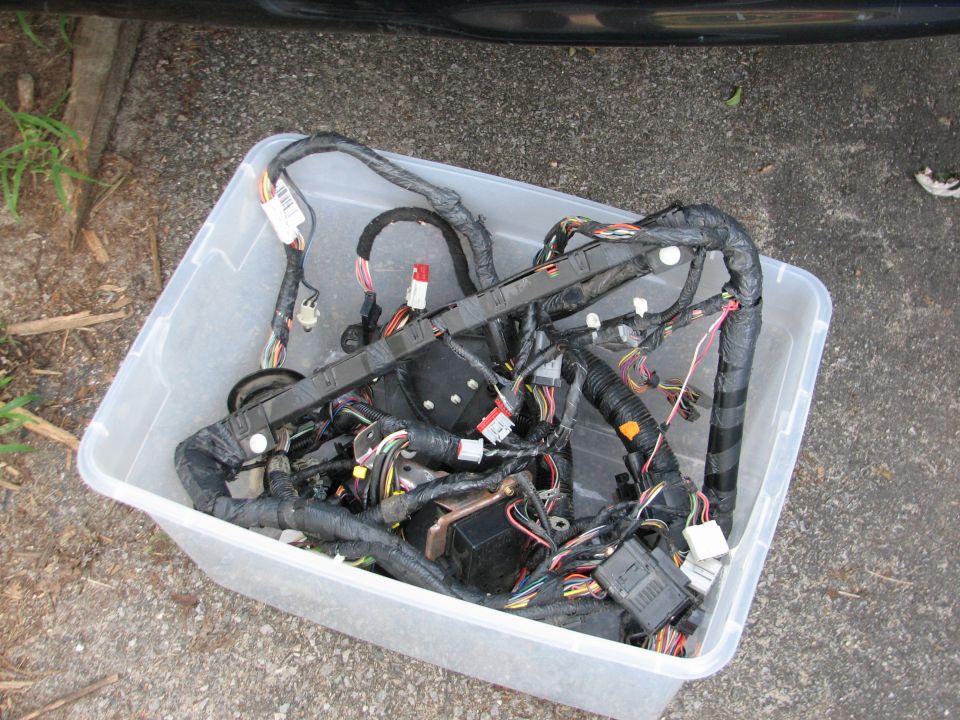 Removed car wiring harness with connectors coiled in a clear plastic storage bin on gravel