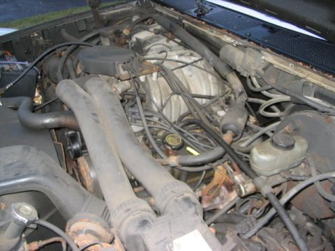 1986 Ford Bronco - Close-up view of a vehicle's engine bay, showing various mechanical parts.