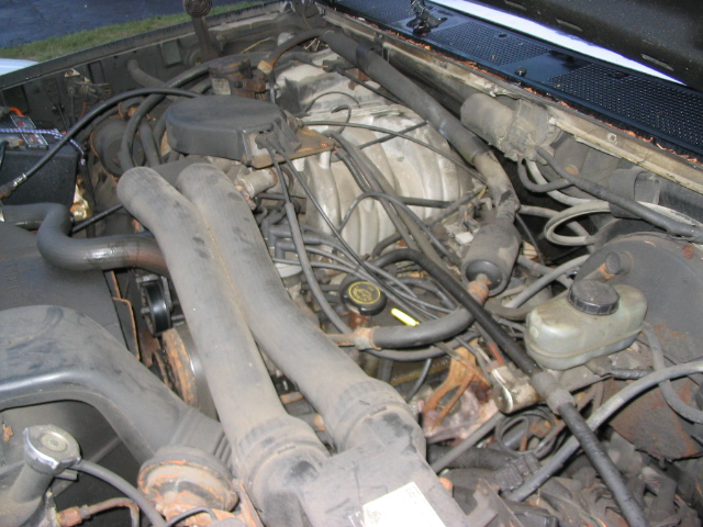Engine bay with hoses, wires, and engine components visible