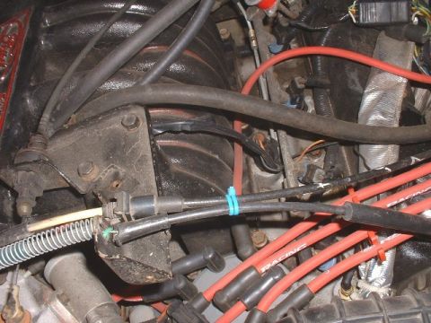 1986 Ford Bronco - Close-up view of engine bay components, focusing on vacuum lines and wiring harnesses.