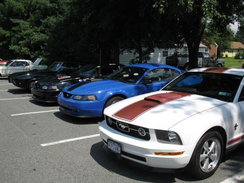 2003 Ford Mustang - A line of Ford Mustangs are parked in a lot on a sunny day, with trees and houses in the background.