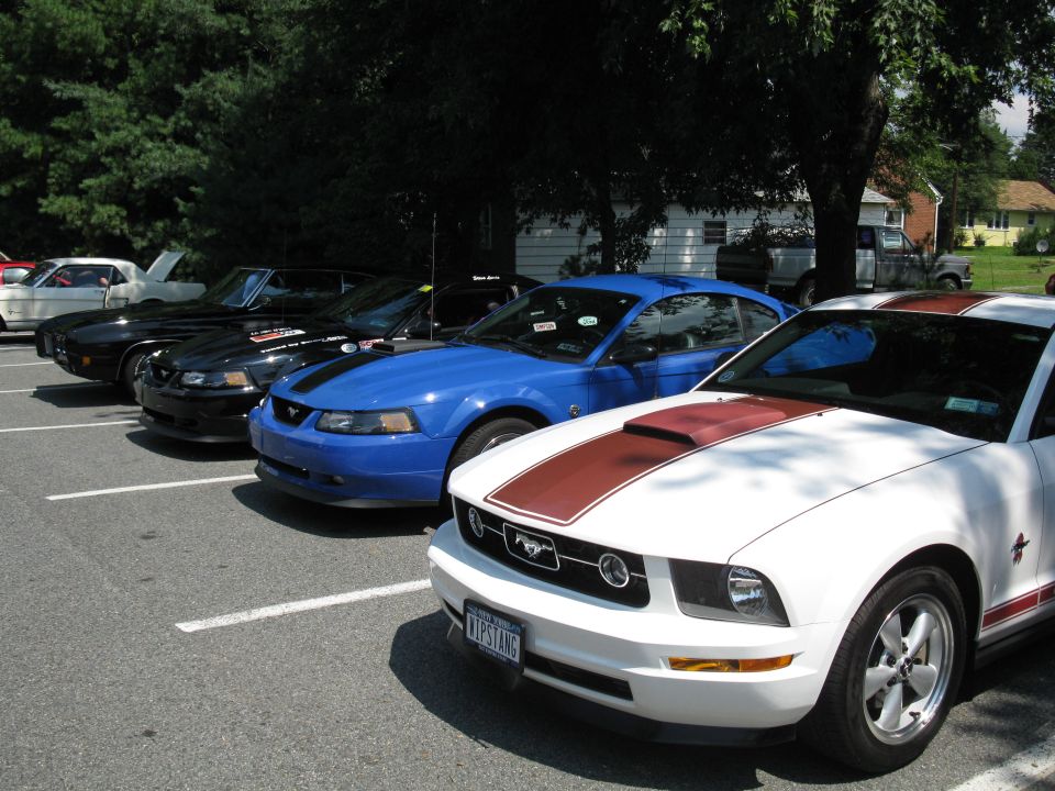 Several Ford Mustangs parked in a lot, including a white one with red stripes and a blue one with black stripes