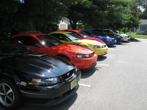 2003 Ford Mustang - Multiple Ford Mustangs are parked in a row under trees on a sunny day.