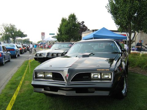 1988 Mercury Grand Marquis - A line of cars, including a black Pontiac Trans Am, are parked on the grass at an outdoor event.