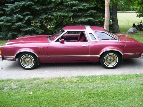 1979 Ford Thunderbird photo
