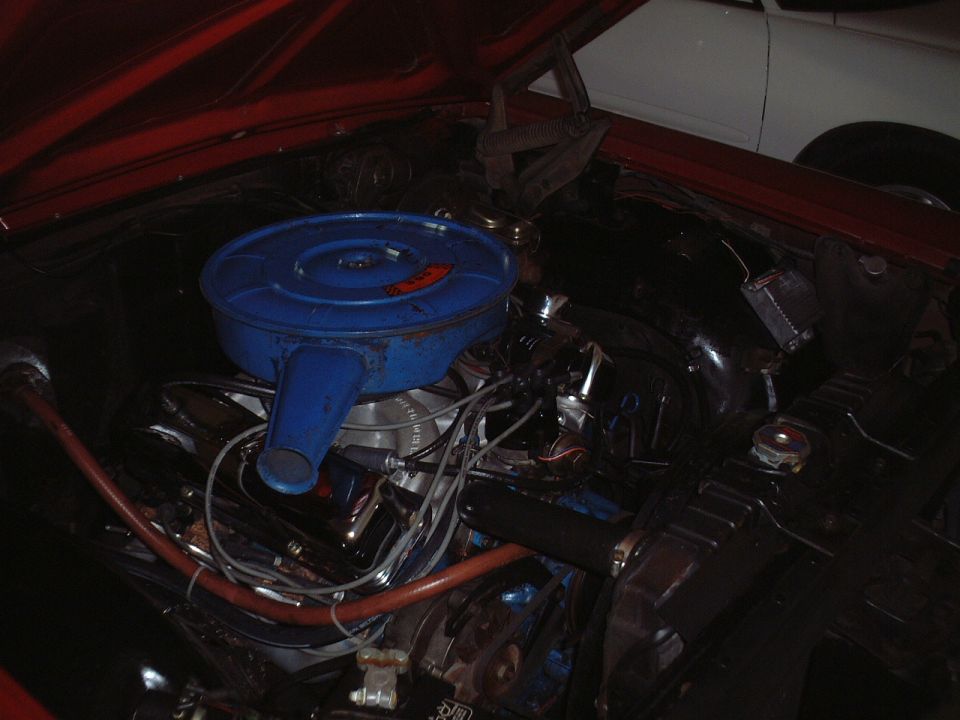 Classic Ford engine bay with blue round air cleaner and orange plug wires under red hood