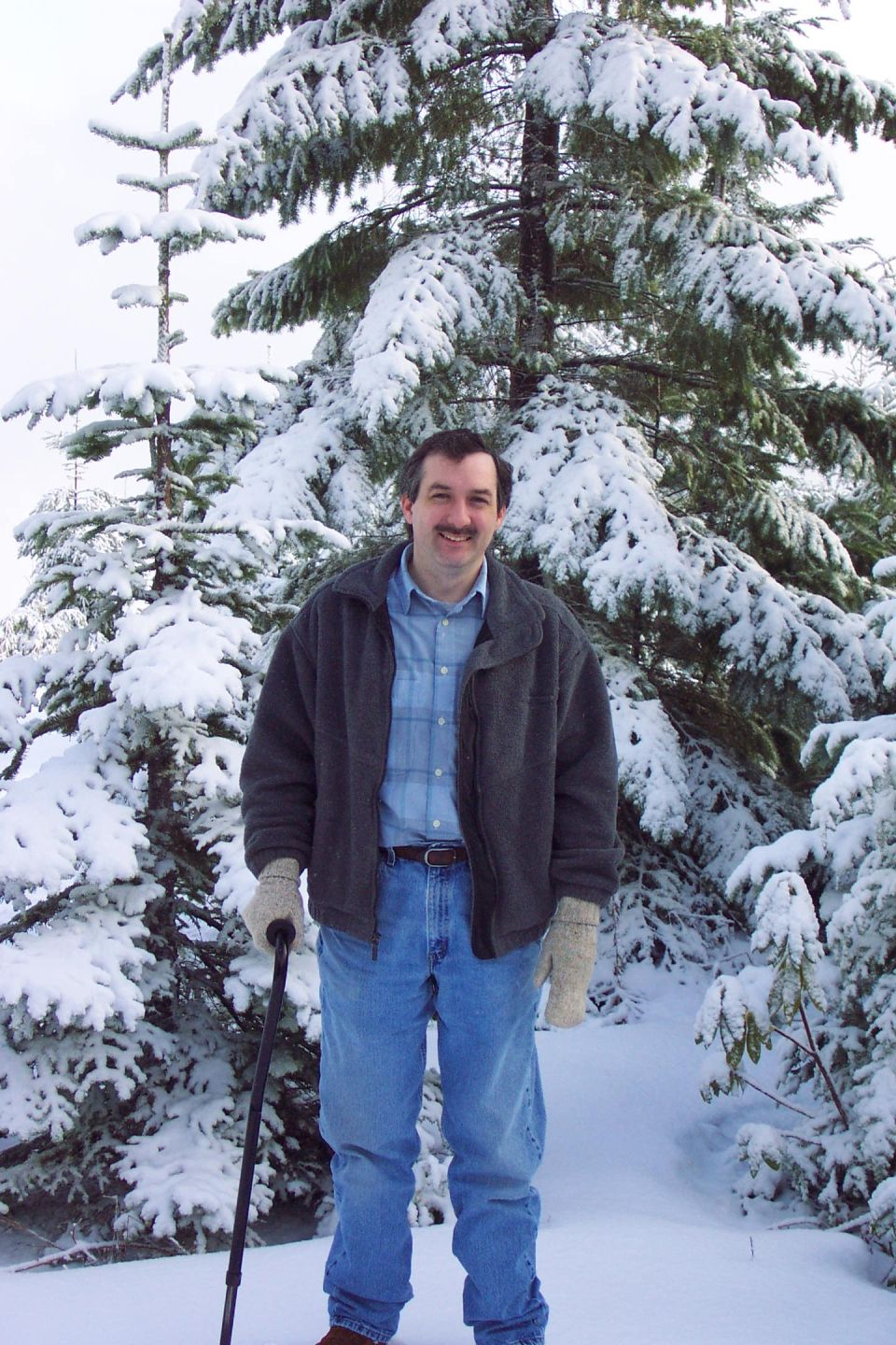 Man in gray jacket and mittens standing in snow among snow-covered evergreens, holding a hiking pole
