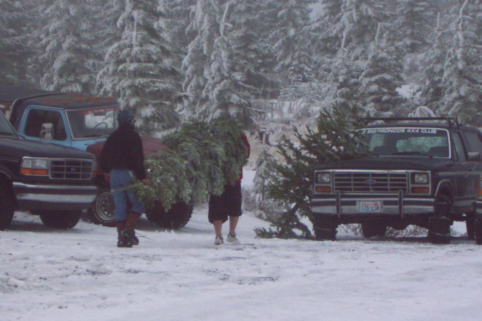 People carrying Christmas trees in snow between Ford trucks and a Bronco with a Big Broncos 4x4 Club banner
