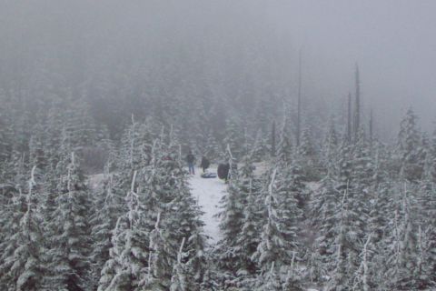 1989 Ford F-150 - Some of the younger crowd sledding on the hill above where we parked. It was quite foggy up there.