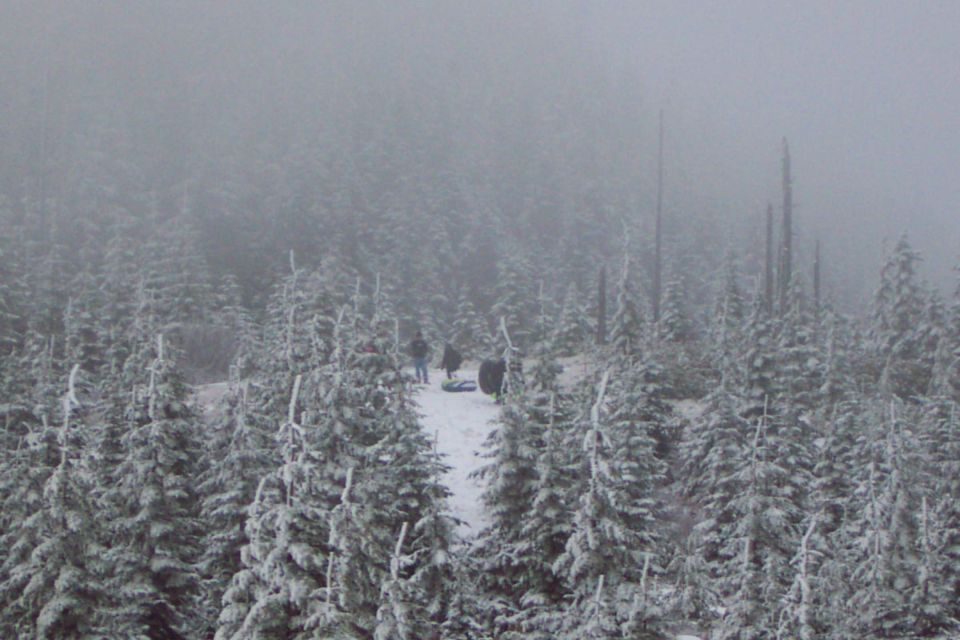 Some of the younger crowd sledding on the hill above where we parked.  It was quite foggy up there.