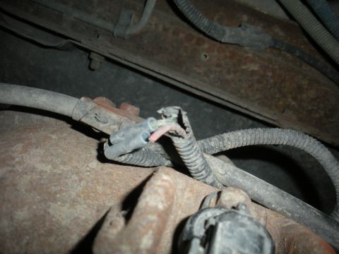 1996 Ford Bronco - A damaged wiring harness is visible, with exposed wires and protective conduit.