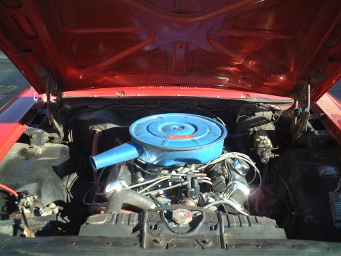 1967 Ford Galaxie - Engine compartment of a 1967 Ford Galaxie, a V8 engine and blue air cleaner.