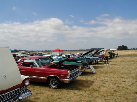 1967 Ford Ranchero - Several classic cars, including a 1967 Ford Ranchero, are displayed with hoods open at an outdoor event.
