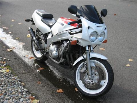 1990 Yamaha FZR600 “The Beast”