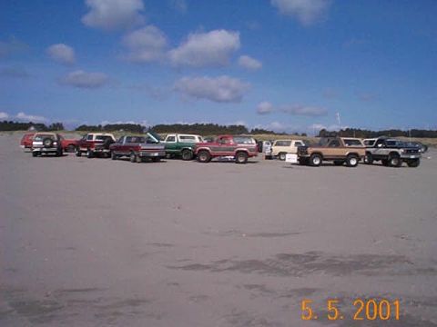 1989 Ford F-150 - Several Ford Broncos and F-150s are parked on a sandy beach under a blue sky.