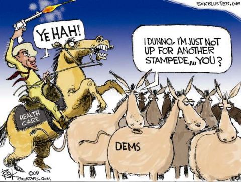 2008 Ford Bronco - A political cartoon depicts a cowboy on horseback charging towards a herd of donkeys, symbolizing a political conflict.