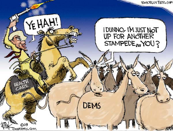 Cartoon of a cowboy on a horse labeled 'Health Care' firing a gun, facing a group of donkeys labeled 'Dems'