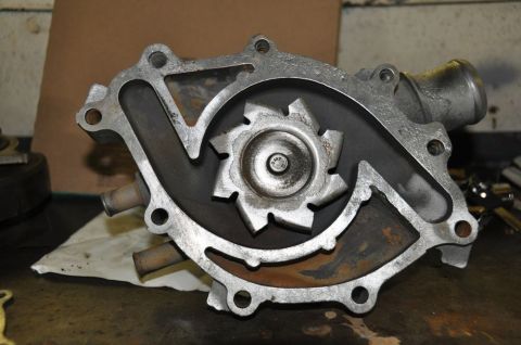 1996 Ford Bronco - Close-up view of a car's water pump, showing the impeller and housing.