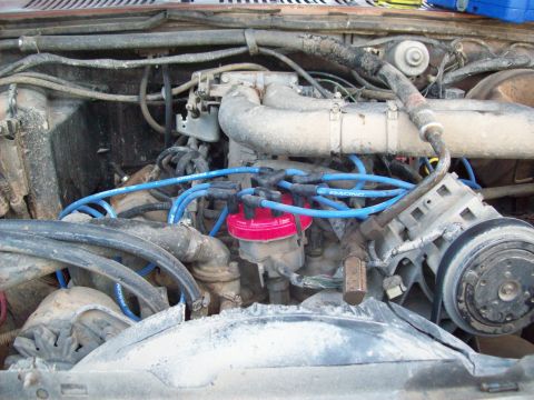 1985 Ford Bronco - Close-up view of an engine bay, focusing on the distributor and associated wiring.