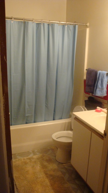 1996 Ford Bronco - A bathroom scene includes a shower curtain, toilet, and vanity cabinet.