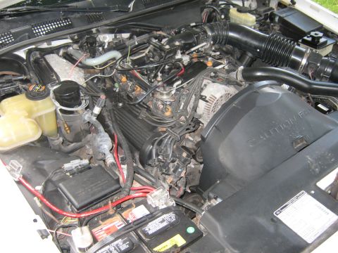 1997 Ford Crown Victoria - A view of the engine bay, showing various components and wiring.