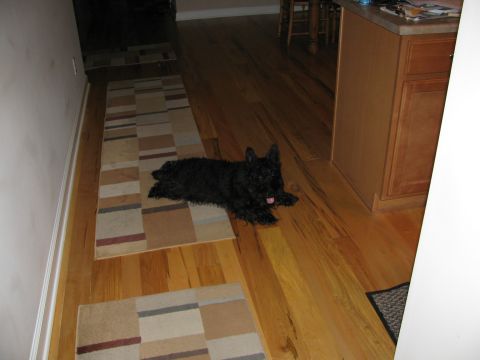 1985 Ford LTD Crown Victoria - A black dog rests on a runner rug in a home with hardwood floors.