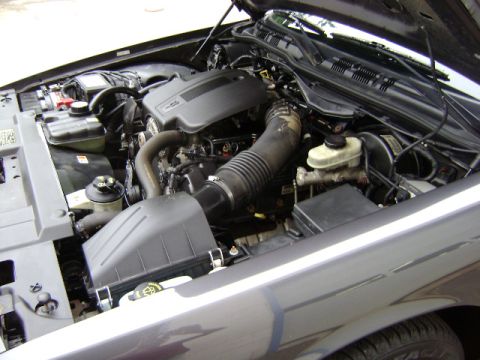 2001 Ford Crown Victoria - Engine bay of a gray 2001 Ford Crown Victoria.