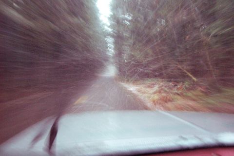 1989 Ford F-150 - Heading up Salmon Creek road, just east of Oakridge Oregon, toward Squaw Butte. Snowing heavily and just starting to stick.