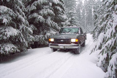 1989 Ford F-150 - Another shot on the way back down.