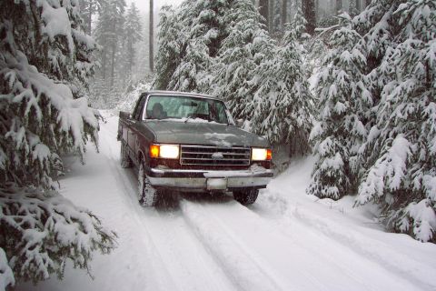 1989 Ford F-150 - The other side.