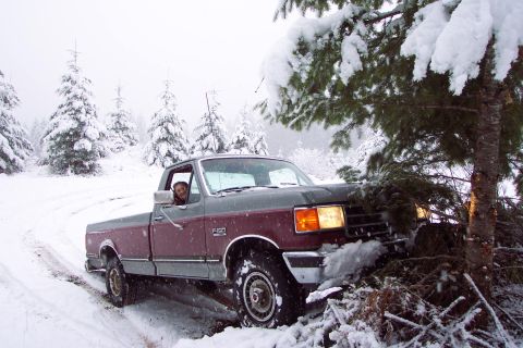 1989 Ford F-150 - Yet another view with Mom looking out the window.