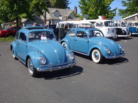 1964 Ford Fairlane - A line of classic Volkswagen vehicles, including Beetles and Type 2 vans, displayed outdoors.