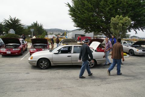 1990 Ford Taurus - Multiple Ford Taurus cars gathered at an outdoor event, with several owners showing off their engines.