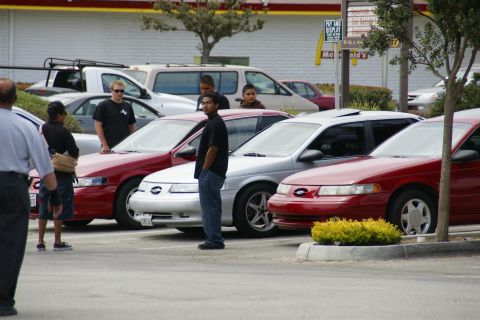 1990 Ford Taurus - A group of people stand near several Ford Taurus sedans in a parking lot.