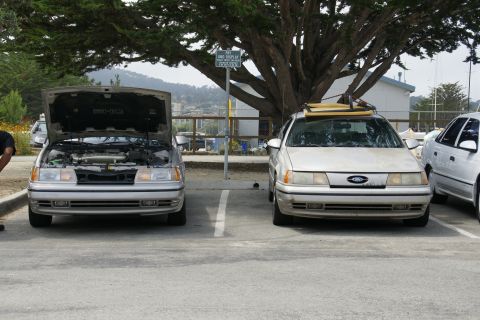 1990 Ford Taurus - Two 1990 Ford Taurus sedans parked in a lot under a large tree.