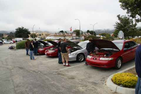1990 Ford Taurus - A group of people inspect the engines of several Ford Taurus sedans parked in a lot on an overcast day.