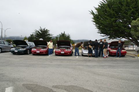 1990 Ford Taurus - Several 1990 Ford Taurus sedans are parked with their hoods open, suggesting a car meet or gathering.