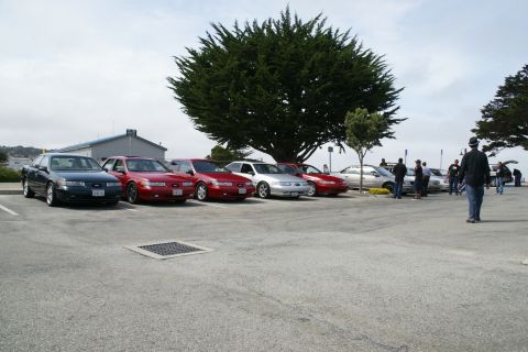 1990 Ford Taurus - A line of sedans, including several Ford Tauruses, are parked outdoors under a large tree.