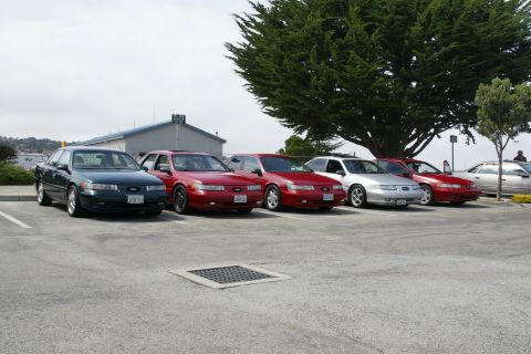 1990 Ford Taurus - Several Ford Taurus sedans are parked in a lot under a large tree.