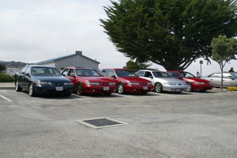 1990 Ford Taurus - A row of 1990 Ford Taurus sedans are parked side-by-side under a large tree.