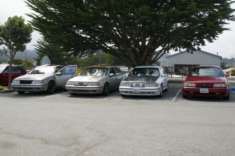 1990 Ford Taurus - Several Ford Taurus sedans are parked in a lot, with a large tree providing shade.