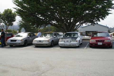 1990 Ford Taurus - Multiple Ford Tauruses are parked in a lot, with a large tree providing shade over the vehicles.