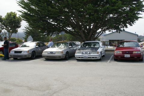 1990 Ford Taurus - A lineup of four Ford Taurus sedans, different colors and modifications, parked under a large tree.