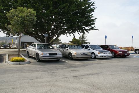 1990 Ford Taurus - Several sedans are parked in a lot near a building and a large tree.