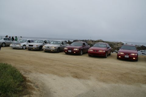 1990 Ford Taurus - A group of Ford Taurus sedans are lined up on a sandy area with the ocean in the background.